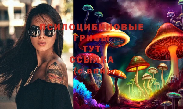 метадон Бородино