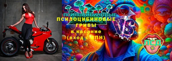 МДПВ Бугульма