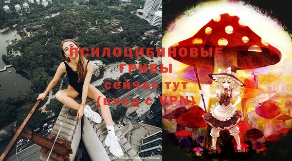 МДПВ Бугульма