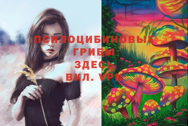 метадон Бородино