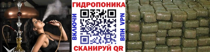 Купить где  Ярцево  Каннабис OG Kush 